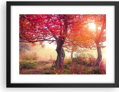 Produktbild von Gerahmtes Poster - Schwarzer Rahmen - Baum Natur Wiese - 40x30 cm - Wand Bild - Wanddeko - Wandbilder - Kunstposter - Wandposter - Bilderrahmen - Bilder - Kunstdruck - Wandbild - P2BAA40x30-3658