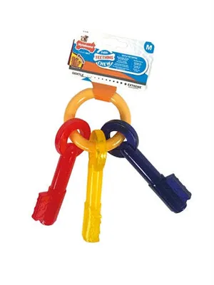 Image de Nylabone Puppy Chew Bite Keyson Bacon Flavour