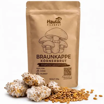 Produktbild von Hawlik Pilzbrut Braunkappe Körnerbrut 150 g – Kulturträuschling Pilzbrut, Pilze anbauen Garten Beet