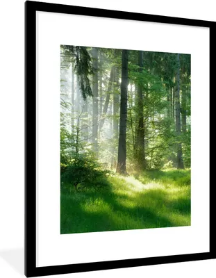 Produktbild von MuchoWow® Gerahmtes Poster Natur - Bäume - Wald - Grün - Sonne - Gras - Pflanzen 60x80 cm - Poster mit Schwarzem Bilderrahmen Wandposter Rahmen Foto Bilder - Wohnzimmer - Dekorationen - Prämie