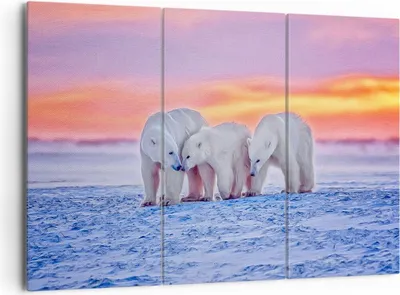 Produktbild von Bild auf Leinwand - Leinwandbild - Bären Winter Schnee Familie - 165x110cm - Wand Bild - Wanddeko - Leinwanddruck - Bilder - Kunstdruck - Wanddekoration - Leinwand bilder - Wandkunst - CE165x110-2836