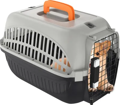 Produktbild von JOIEYOU Hundebox Transportbox Katze 48x32x32 cm Katzentransportbox Hundetransportbox aus Kunststoff mit Eisen Tür und Lüftungsschlitze Hartschalen Transportkäfig für Haustiere