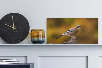Zdjęcie produktu dla MuchoWow® - Obraz na płótnie - Ptak - Gałąź - Sójka, fototapeta, dekoracja ścienna, obrazy do salonu, 40x20cm
