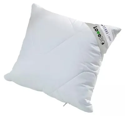 Image de Coussin, oreiller, coton, hypoallergénique, biodégradable, LoveBio 40x40