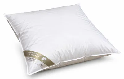 Produktbild von Betten Hofmann Daunenkissen 80x80 cm 850g Daunen Kopfkissen Kissen prall dick 100% neue Daunen