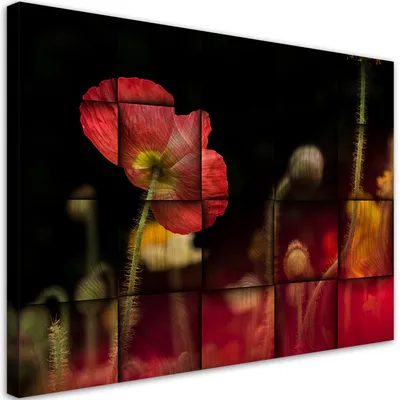Produktbild von Leinwandbild Rote Mohnblume 120x80 Feeby Rot bild für die wand bereit zum aufhängen