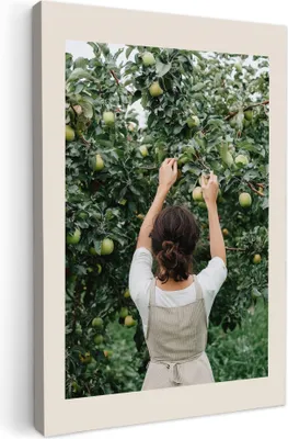 Produktbild von Leinwand Bilder 80x120 cm - Küche - Grün - Apfelbaum, Bilder Modern, Leinwandbilder, Wanddeko