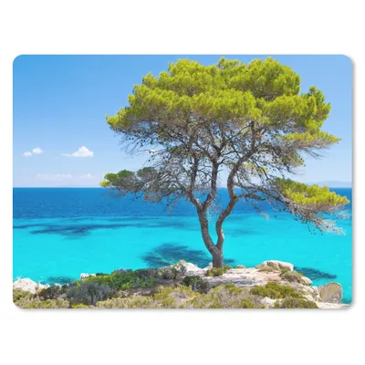 Produktbild von MuchoWow® Mauspad Mousepad Baum - Meer - Tropisch - Sommer 23x19 cm - Mousepads - Maus Mat - Pad - Mausunterlage - Schreibtischunterlage - Mauspad