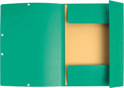 Produktbild von Exacompta 55303E, 240 mm, 320 mm, Grün