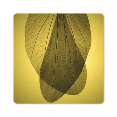 Produktbild von MuchoWow® Mauspad Mousepad Skelett mehrerer botanischer Blätter auf gelbem Hintergrund 20x20 cm - Mousepads - Maus Mat - Pad - Mausunterlage - Desk Mat - Bureauartikeln