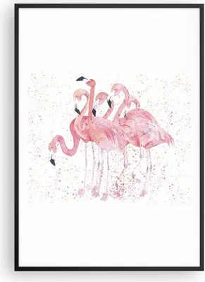 Produktbild von Gerahmtes Poster - Schwarzer Rahmen - Flamingo Vogel Wasser - 70x100 cm - Wand Bild - Wanddeko - Wandbilder - Wandposter - Bilderrahmen - Bilder - Kunstdruck - Wandbild - P2BPA70x100-3899