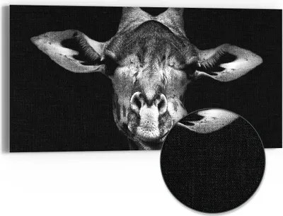Produktbild von DEQORI Hybrid Leinwand Bild 60x30 cm 'Giraffenporträt' Wandbild Glas flach modern