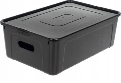 Obrázek produktu pro Box úložný MULTIBOX KOLOR průhmaty 34x20x10cm 5L - mix variant či barev
