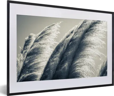 Produktbild von MuchoWow® Gerahmtes Poster Pampasgras - Schwarz - Weiß - Natur 60x40 cm - Poster mit Schwarzem Bilderrahmen Wandposter Rahmen Foto Bilder - Schlafzimmer - Plakat in Rahmen - Drucken