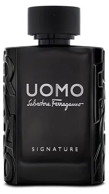 Produktbild von Salvatore Ferragamo, Uomo Signature, Eau de Parfum, Für Männer, 100 ml