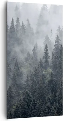 Produktbild von Bild auf Leinwand - Leinwandbild - Wald Baum Natur - 65x120cm - Wand Bild - Wanddeko - Wandbilder - Leinwanddruck - Bilder - Kunstdruck - Wanddekoration - Leinwand bilder - Wandkunst - PA65x120-4074