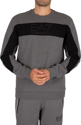 Produktbild von EMPORIO ARMANI Training Colorblock-Sweatshirt Grau XL