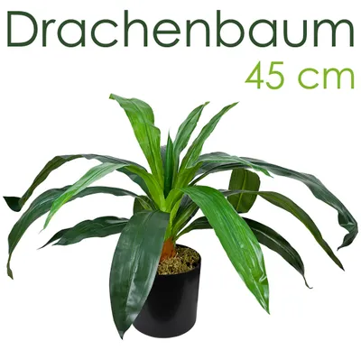 Immagine prodotto di Dracena Pianta Artificiale Plastica con Vaso 45cm Decovego