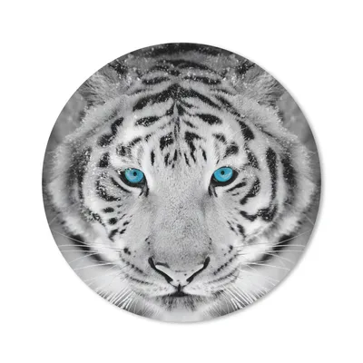 Produktbild von MuchoWow® Mauspad Mousepad Tiger - Weiß - Augen 20x20 cm - Mousepads - Maus Mat - Pad - Mausunterlage - Schreibtischmatte