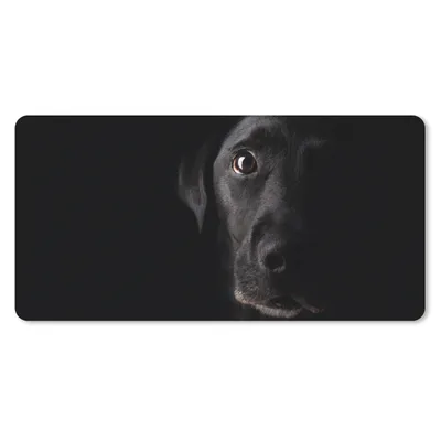 Produktbild von MuchoWow® Schreibtischunterlage Ein schwarzer Labrador Retriever auf schwarzem Hintergrund 80x40 cm - XXL Mauspad - Gaming Mauspad
