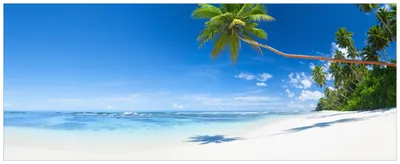 Produktbild von Wallario Premium Glasbild, freischwebende Optik, kräftige Farben, Größe 125 x 50 cm Motiv Weißer Sandstrand am Meer - Ein Traum unter Palmen
