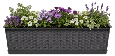 Produktbild von Prosperplast Balkon - Pflanzkubel - dunkelbraun - 12 l - 70 x 17 x 15 cm