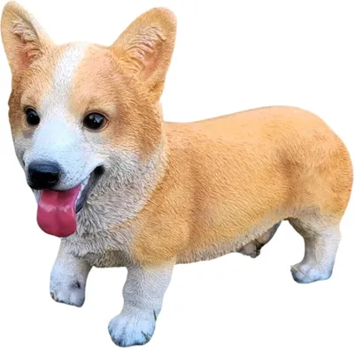 Image de Prodex Pes welsh corgi, 30 x 26 cm, polyston PRODEX WG20057