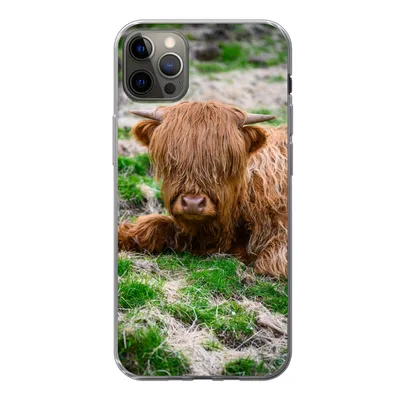Produktbild von MuchoWow® Handyhülle Schutzhülle Hülle für iPhone 13 Pro Max Schottischer Highlander - Heu - Gras Silikon Softcase Handy Hülle - Mobiltelefon