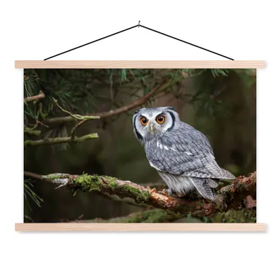 Produktbild von MuchoWow® Textilposter Eule - Vogel - Äste - Natur 60x40 cm mit holzfarbenen Rahmen - Bilder