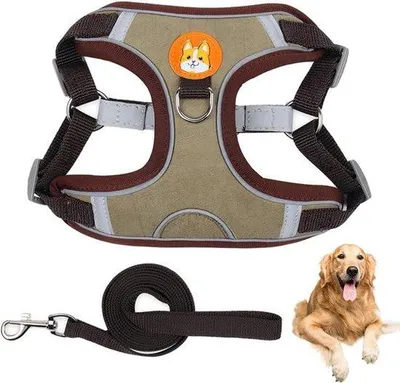 Immagine prodotto di Collare per cani di taglia media - Pettorina regolabile - Set riflettente - Guinzaglio per cani di taglia media - Ideale per cani di piccola e media taglia - Taglia L