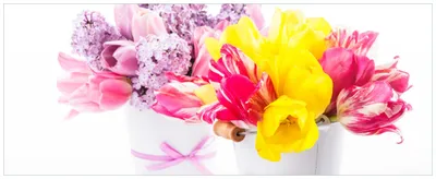 Produktbild von Wallario Premium Glasbild, freischwebende Optik, kräftige Farben, Größe 80 x 32 cm Motiv Zwei Blumen-Bouquets aus gelben und roten Tulpen und Flieder