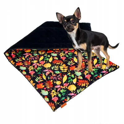 Produktbild von Ukory Hundematte Komfortabel Robust 80x50 cm Vielseitig