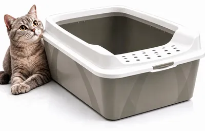 Produktbild von Rotho BONNIE Offene Katzentoilette Cappuccino mit hohem Rand