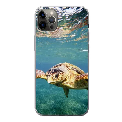 Produktbild von MuchoWow® Handyhülle Schutzhülle Hülle für iPhone 12 Pro Max Schildkröte - Wasser - Blau Silikon Softcase Handy Hülle - Hartschale
