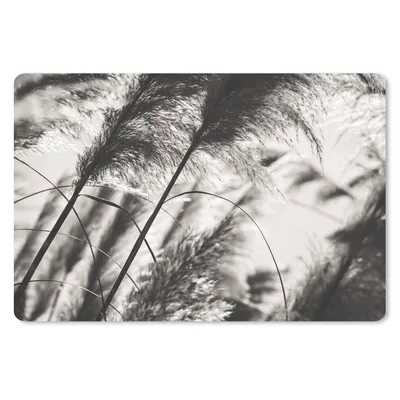 Produktbild von MuchoWow® Schreibtischunterlage Pampasgras - Schwarz - Weiß - Pflanze 60x40 cm - XXL Mauspad - Großes Mauspad