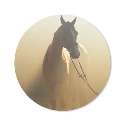 Produktbild von MuchoWow® Mauspad Mousepad Pferd - Licht - Sand 40x40 cm - Mousepads - Maus Mat - Pad - Mausunterlage - Schreibtisch Accessoires