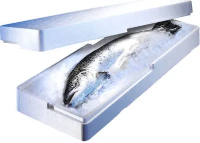 Produktbild von 120x Isolierboxen für den Fischversand aus Styropor EPS 650x230x96mm 8 Liter