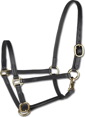 Produktbild von Waldhausen Halfter STAR Fohlenvorführhalfter Leder Schwarz Pony