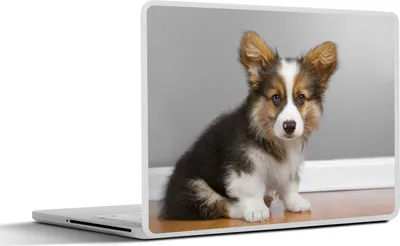 Produktbild von MuchoWow® Laptop Aufkleber Sticker Cover Ein Porträt eines gefleckten Welpen 25x18 cm - Laptop-Deko