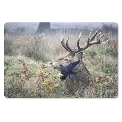 Produktbild von MuchoWow® Mauspad Mousepad Hirsch - Vogel - Wald 27x18 cm - Mousepads - Maus Mat - Pad - Mausunterlage - Büroartikel - Desk Matten