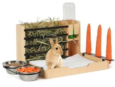 Imagen del producto de Estación de alimentación 5 en 1 para pequeños animales