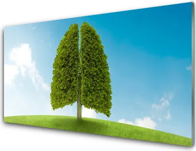 Produktbild von Acrylglasbilder 100x50 Wandbild Druck Gras Baum Natur
