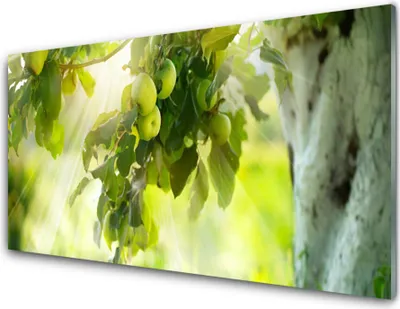 Produktbild von Acrylglasbilder 100x50 Wandbild Druck Zweig Äpfel Küche