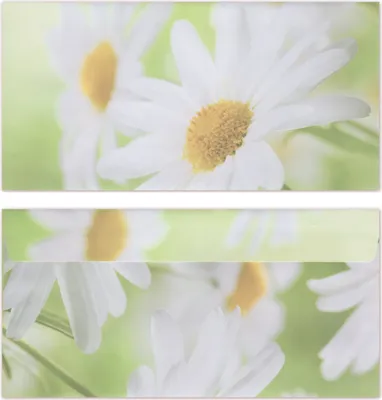 Produktbild von 50 Stück Premium Briefumschläge DIN lang (110 X 220mm) mit Motiv bedruckt, Blumen Margeriten Briefhüllen Kuvert, ohne Fenster, haftklebend, 80g/m² (UMS-5031)