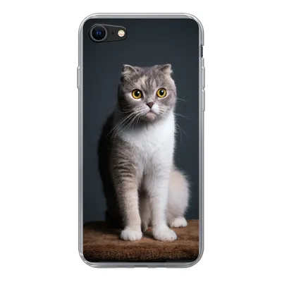 Produktbild von MuchoWow® Handyhülle Schutzhülle Hülle für iPhone 7 Katze - Haustiere - Licht Silikon Softcase Handy Hülle - Kartenhalter