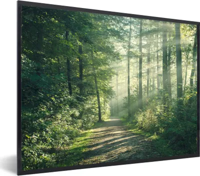 Produktbild von MuchoWow® Gerahmtes Poster Wald - Weg - Sonne - Bäume - Grün - Natur 80x60 cm - Poster mit Schwarzem Bilderrahmen Wandposter Rahmen Foto Bilder - Schwarzem - Mit Gestell