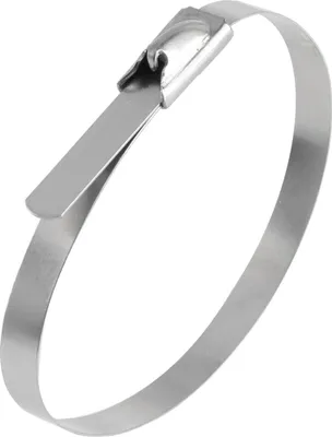 Produktbild von Kabelbinder aus Edelstahl mit Edelstahlzunge VPE 1 Stück Maße L/B/H 125,0mm x 4,6mm, Farbe silber - 1 Stück