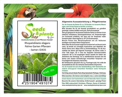 Produktbild von 10x Rhopaloblaste elegans Palme Garten Pflanzen - Samen ID435