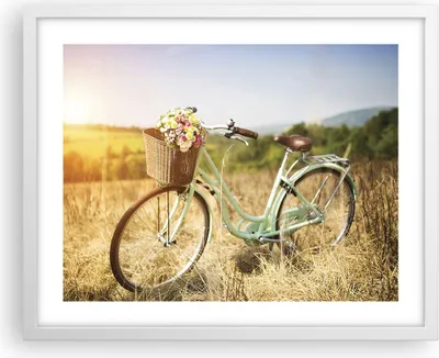 Produktbild von Gerahmtes Poster - Weißer Rahmen - Fahrrad Wiese Blumen - 50x40 cm - Wand Bild - Wanddeko - Wandbilder - Kunstposter - Wandposter - Bilderrahmen - Bilder - Kunstdruck - Wandbild - P2WAA50x40-4206