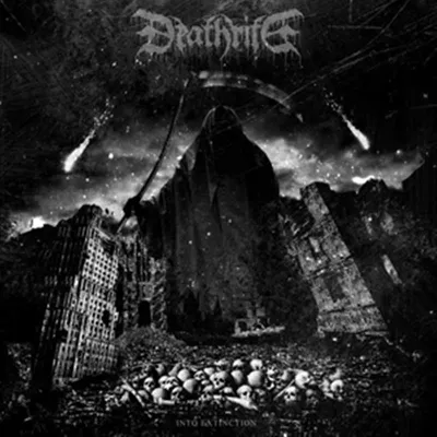 Produktbild von Into Extinction